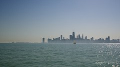 Chicago sailing downtown chicago