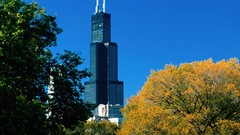 Chicago sears tower illinois