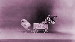 Chick through boredom make them shall regardlees