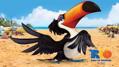 Children Birds Anime toucans
