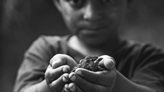 Children Birds hands sparrow Boys! turkish grayscale baby birds