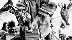 Children Birds monochrome doves