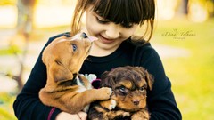 Children Dogs