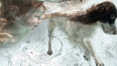 Children Dogs underwater