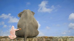 Children funny elephants