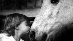 Children Horses