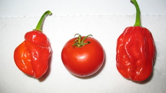 Chile Food and Drinks