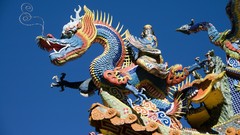 China Dragons phoenix carving digital art