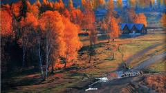 China scenery forest village