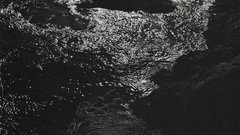 China silver Print edward gelatin cove 1940 weston