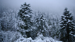 China winter high World