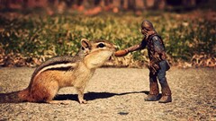 chipmunks chewbacca Toys sciuridae star wars action figures