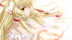 Chobits chii