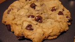 Chocolate food cookies