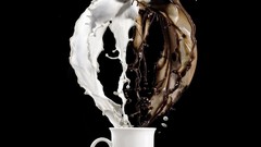 Chocolate milk colors