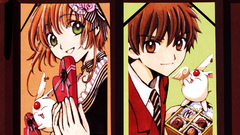 Chocolate sakura tsubasa reservoir