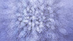 Christmas bokeh burst