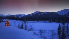 Christmas British Columbia aurora borealis