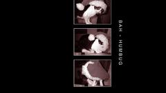 Christmas Christmas and New