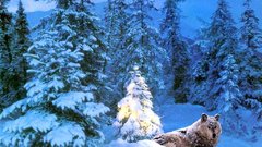 Christmas Christmas and New