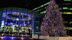 Christmas christmas tree