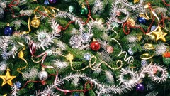 Christmas christmas tree Christmas ornament