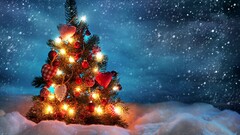 Christmas christmas tree snow Christmas Lights heart