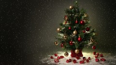 Christmas Christmas trees