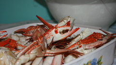 Christmas day Christmas and