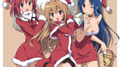 Christmas outfits Palmtop Tiger