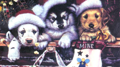 Christmas Puppies