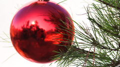 Christmas red snow decoration