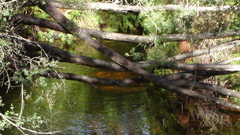 Christmas think high Christmas