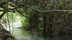 Christmas think high Christmas