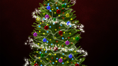 Christmas Trees tree nature