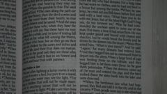 Christmas wg Book pages