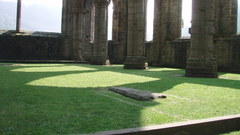 Church copy lets get sort alright