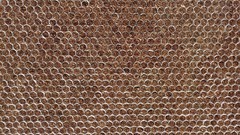 Cigarettes tobacco Philip Morris