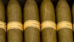 Cigars
