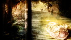 Cinderella artwork fairytales