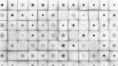 Circlegrid surprisingly Made This