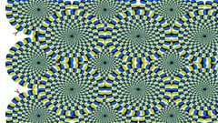 Circles illusions optical illusions