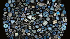 Circles shapes Objects