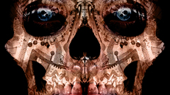 Circuitry of death Made