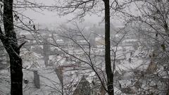 Cities nature Trees buildings