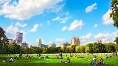 Cities new york city