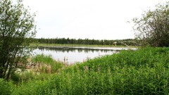 City best nature and