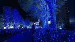 City cityscape blue lights urban Trees