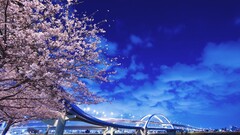 City cityscape Bridge cherry blossom sky Japan Asia