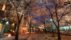 City cityscape Trees Kyoto noise Japan urban City Lights